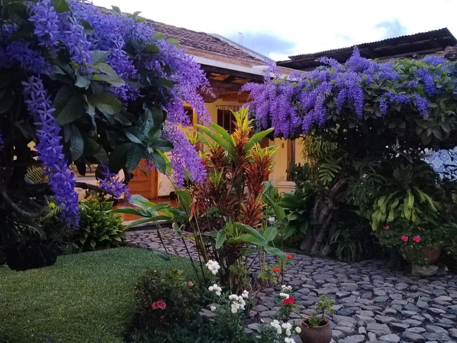 Hostal San Nicolas Antigua Екстер'єр фото