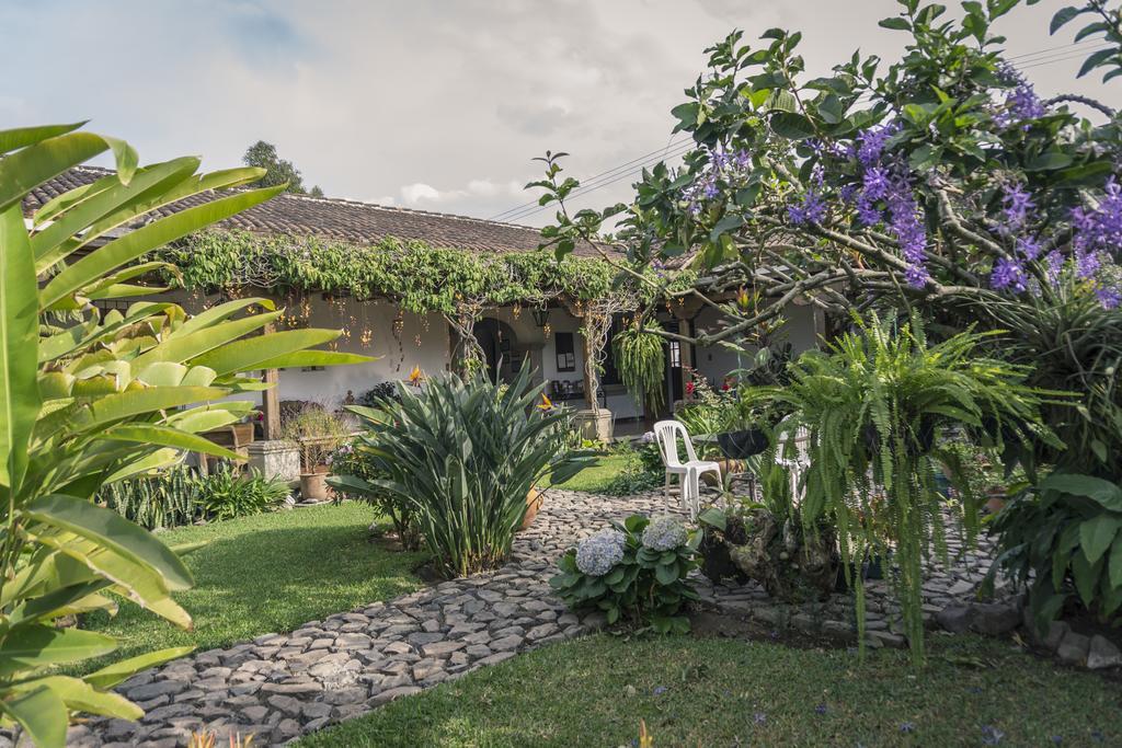 Hostal San Nicolas Antigua Екстер'єр фото